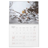 Calendrier de la famille de l'aigle à tête blanche (Mar 2027)