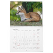 Calendrier de la famille Fox (Jan 2027)