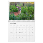 Calendrier de la faune (Mar 2027)