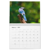 Calendrier de la faune (Feb 2027)