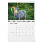 Calendrier de la faune (Feb 2027)