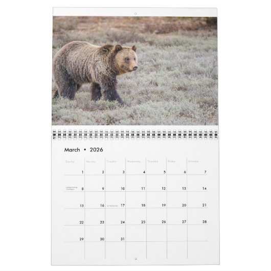 Calendrier de la faune (Mar 2026)
