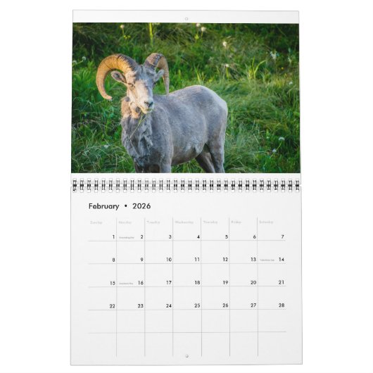 Calendrier de la faune (Feb 2026)