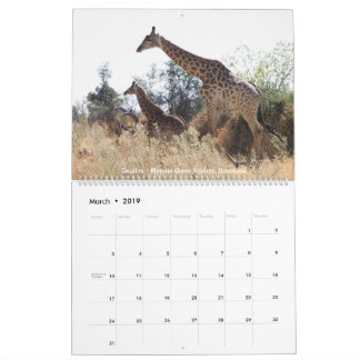 Calendrier de la faune