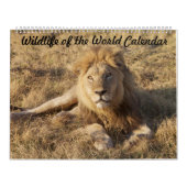 Calendrier de la faune (Protection)