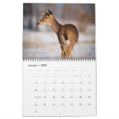 Calendrier de la faune (Jan 2027)