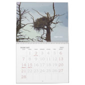Calendrier de la faune 2008 de Yellowstone (Feb 2027)