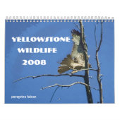 Calendrier de la faune 2008 de Yellowstone (Protection)