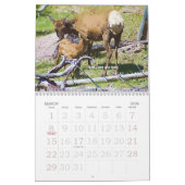 Calendrier de la faune 2008 de Yellowstone (Mar 2026)