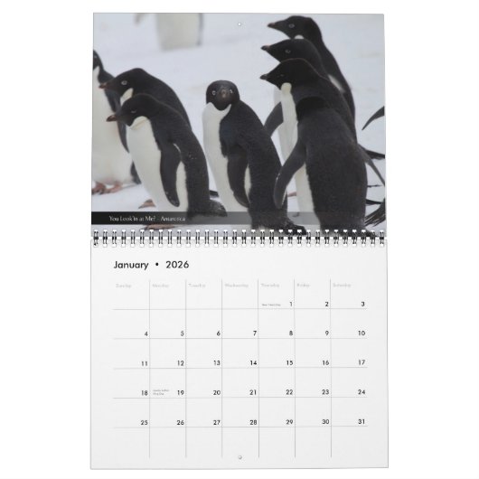 Calendrier de la faune 2012 et du paysage (Jan 2026)