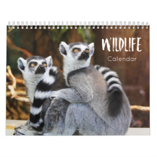 calendrier de la faune 2022