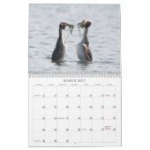 Calendrier de la faune 2022 au Royaume-Uni (Mar 2027)