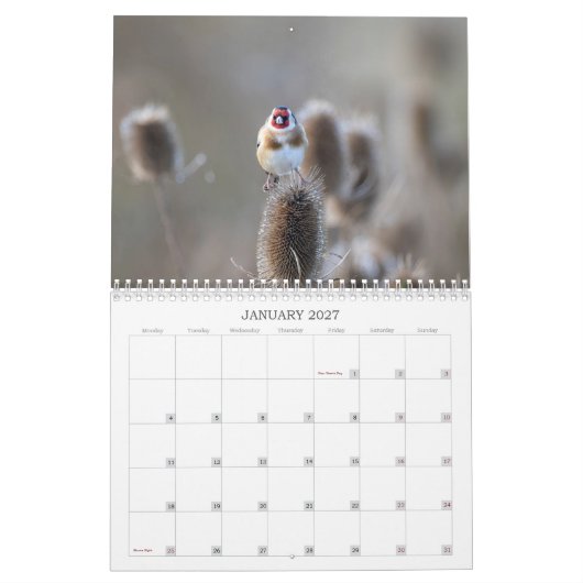 Calendrier de la faune 2022 au Royaume-Uni (Jan 2027)