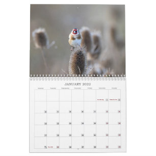Calendrier de la faune 2022 au Royaume-Uni