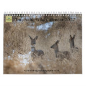 Calendrier de la faune 2022 au Royaume-Uni (Protection)