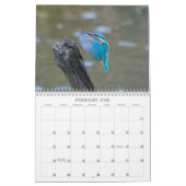 Calendrier de la faune 2022 au Royaume-Uni (Feb 2026)