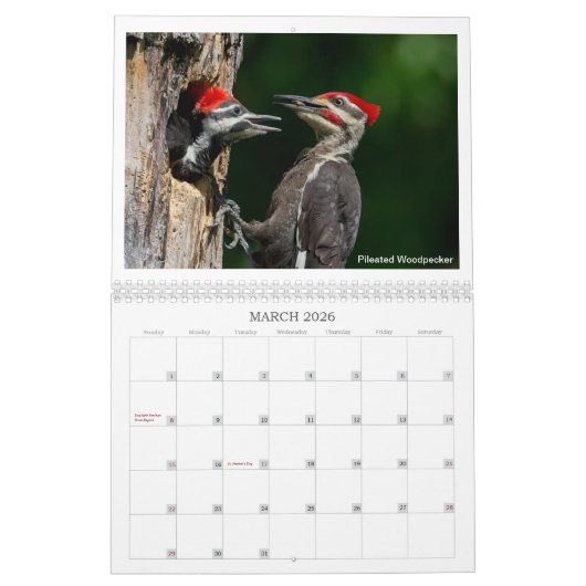 Calendrier de la faune 2024 par Kevin Harris (Mar 2026)