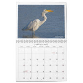 Calendrier de la faune 2024 par Kevin Harris (Jan 2027)