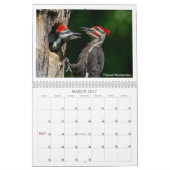 Calendrier de la faune 2024 par Kevin Harris (Mar 2027)