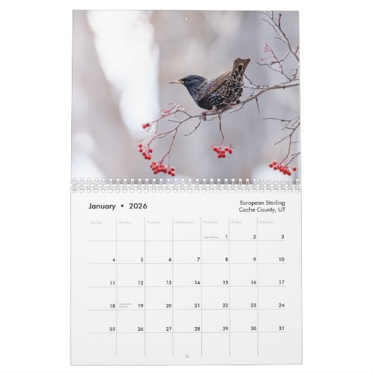 Calendrier de la faune 2025 (Jan 2026)