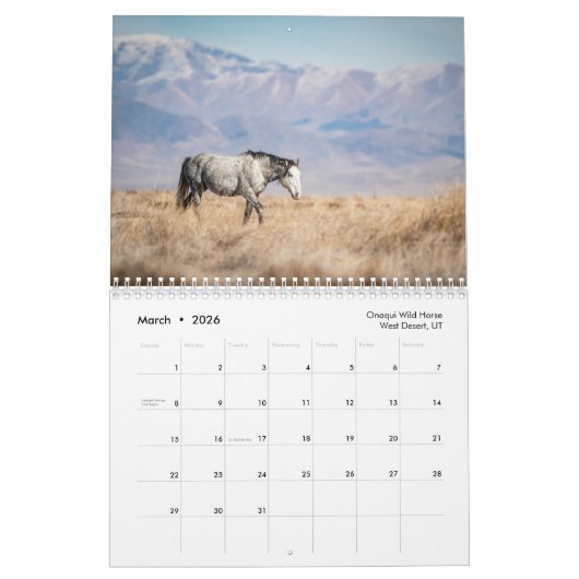 Calendrier de la faune 2025 (Mar 2026)