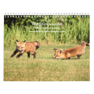 Calendrier de la faune 2026