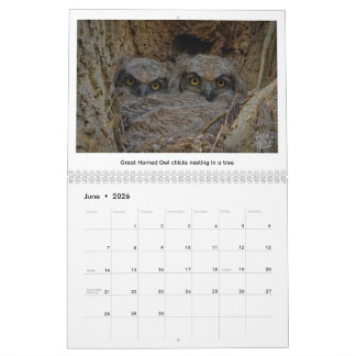 Calendrier de la faune 2026 par Kevin Harris