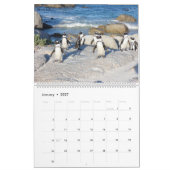 Calendrier de la faune africaine (Jan 2027)
