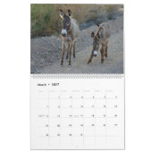Calendrier de la faune, ânes sauvages, burros, dés (Mar 2027)