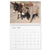 Calendrier de la faune, ânes sauvages, burros, dés (Jan 2027)