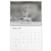 Calendrier de la faune, animaux sauvages, Chipmunk (Feb 2027)