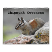 Calendrier de la faune, animaux sauvages, Chipmunk (Protection)