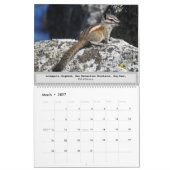 Calendrier de la faune, animaux sauvages, Chipmunk (Mar 2027)