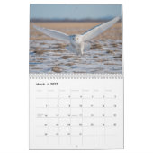 Calendrier de la faune arctique 2027 (Mar 2027)