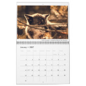 Calendrier de la faune avec légendes (Jan 2027)