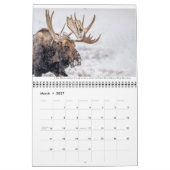 Calendrier de la faune avec légendes (Mar 2027)