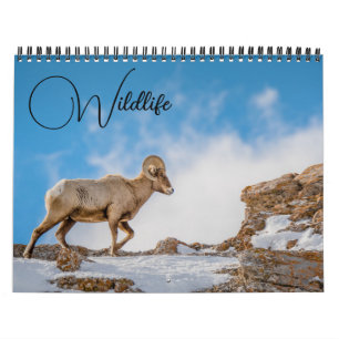 Calendrier de la faune avec légendes