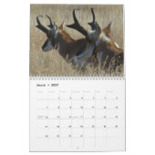 Calendrier de la faune C13 (Mar 2027)