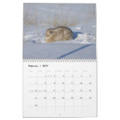 Calendrier de la faune C14 (Feb 2027)