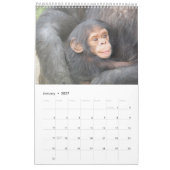 Calendrier de la faune d'amour d'une mère (Jan 2027)