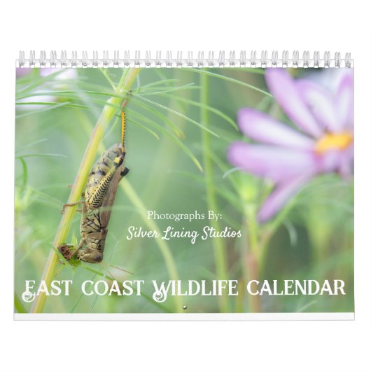 Calendrier de la faune de la côte Est (Protection)