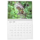 Calendrier de la faune de la côte Est (Mar 2027)