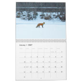 Calendrier de la faune de la côte Est (Jan 2027)