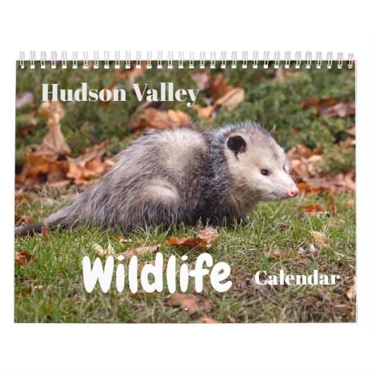 Calendrier de la faune de la vallée d'Hudson (Protection)