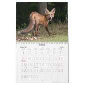 Calendrier de la faune de la vallée d'Hudson (Mar 2026)