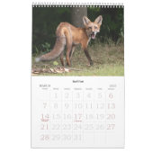 Calendrier de la faune de la vallée d'Hudson (Mar 2027)