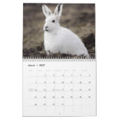 Calendrier de la faune de l'Alaska (Mar 2027)