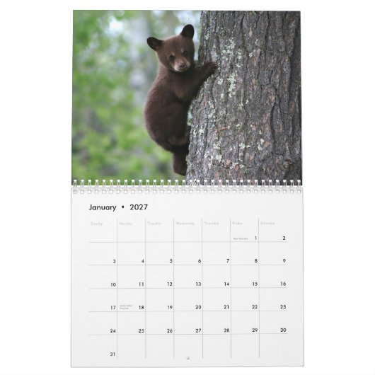 Calendrier de la faune de l'Alaska (Jan 2027)
