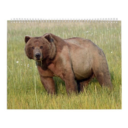 Calendrier de la faune de l'Alaska (Protection)