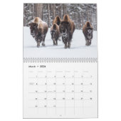 Calendrier de la faune de Yellowstone (Mar 2026)